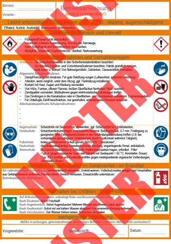 Ausfüllbare Betriebsanweisung für entzündbare feste Stoffe